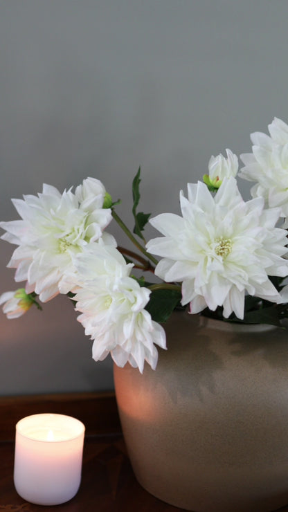 White Silk Dahlia Flowers in Vase Video