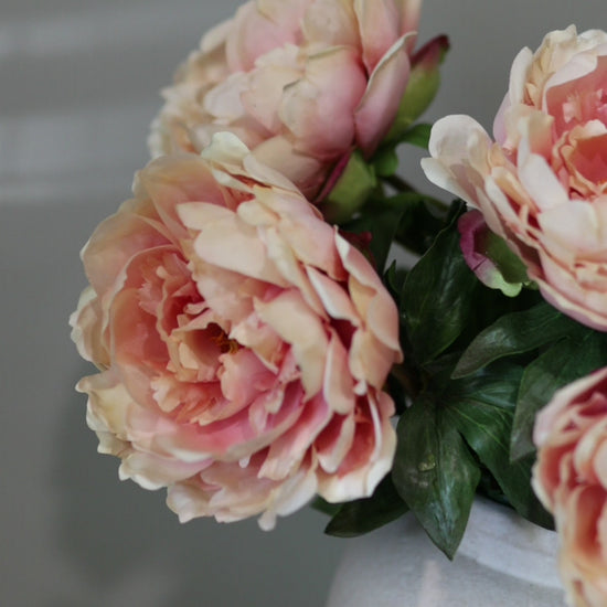 Artificial Pink Mauve Peonies in Vase Video