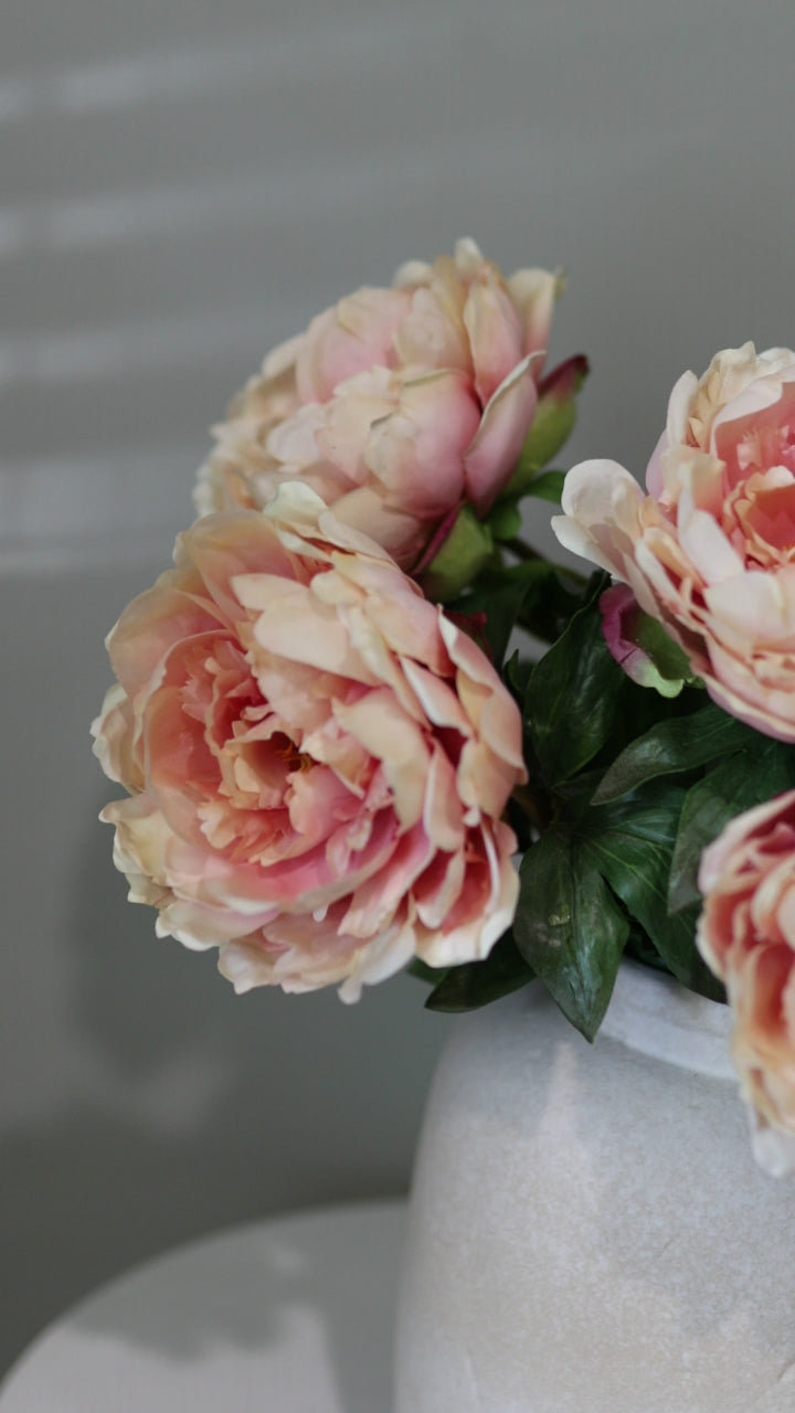 Artificial Pink Mauve Peonies in Vase Video