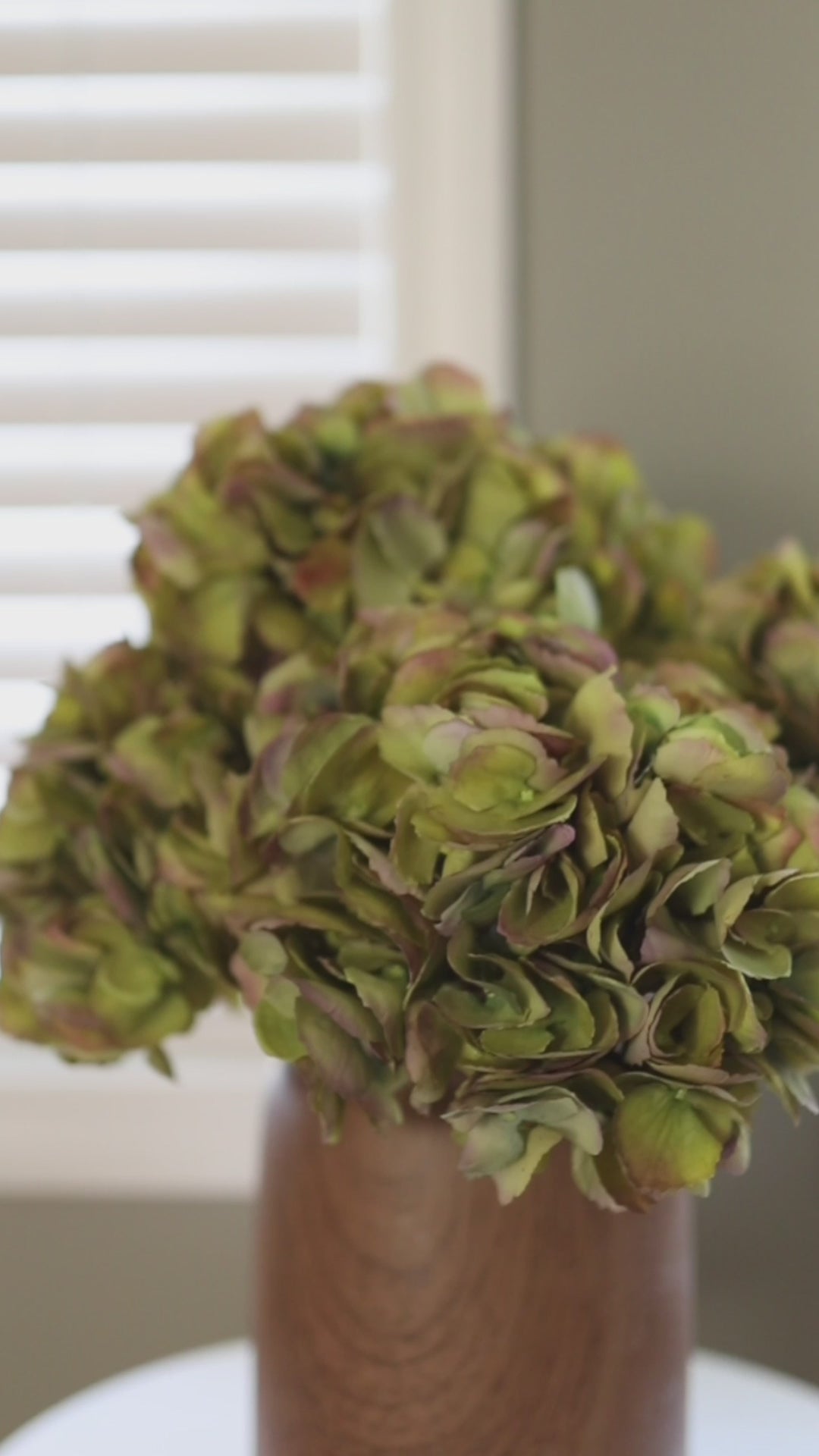 Video Showing Green Fake Hydrangeas in a Vase