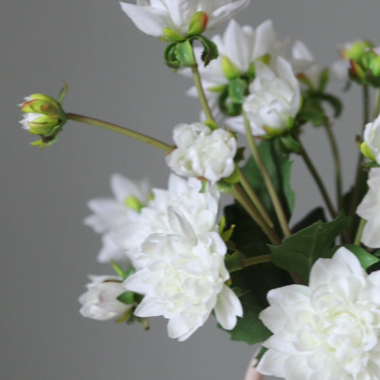 Video Showing Artificial White Dahlias in a Pink Vase