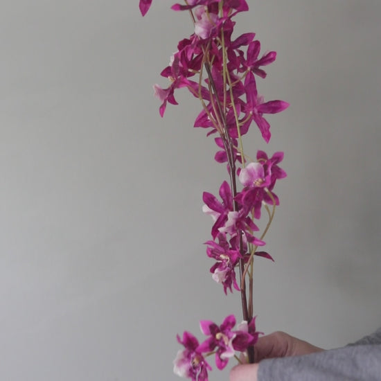 How-To Bend and Shape Pink Oncidium Orchid Flowers