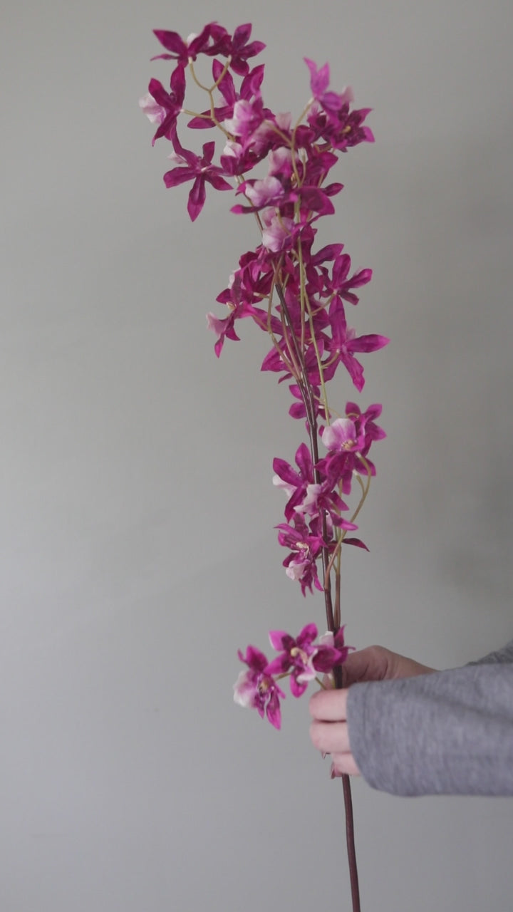 How-To Bend and Shape Pink Oncidium Orchid Flowers