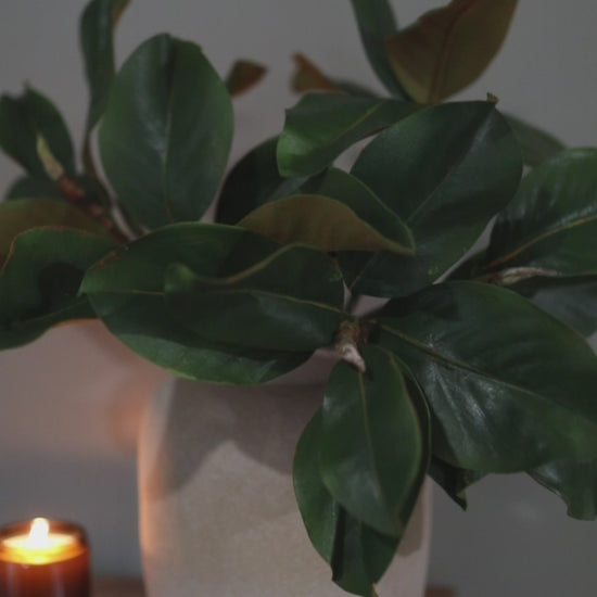 Video of Artificial Green Magnolia Leaves for Home Decor