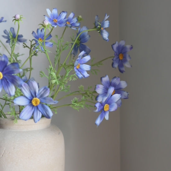 Real Touch Flower Video Blue Cosmos