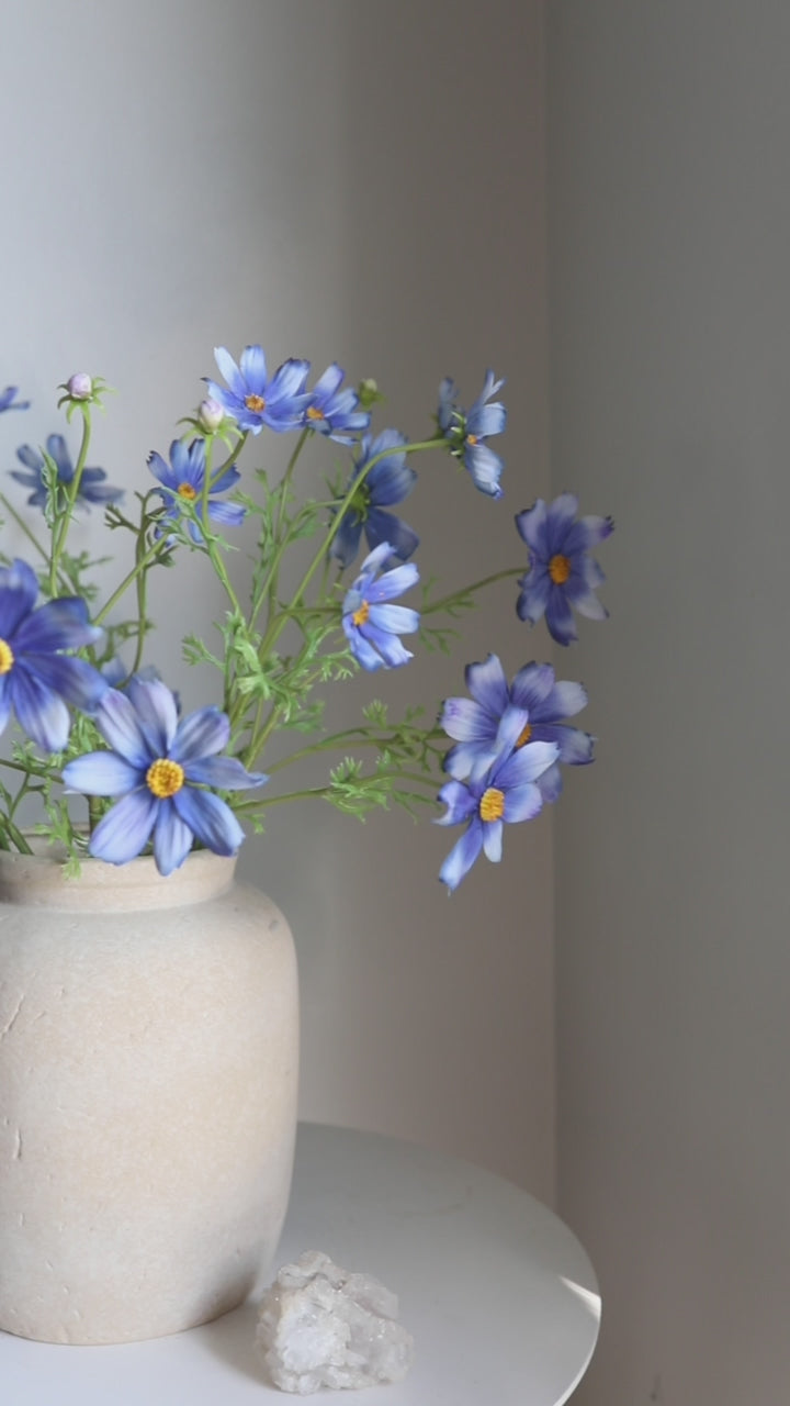 Real Touch Flower Video Blue Cosmos
