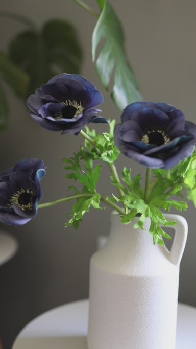 Himalayan Blue Anemone 17.5