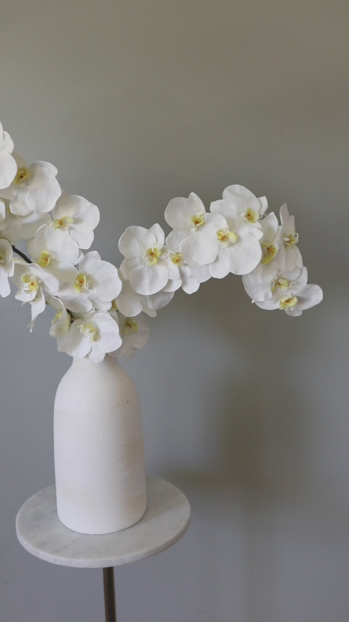 Details of Lifelike Phalaenopsis Orchids in Bright White
