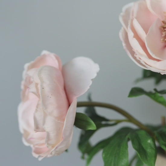 Faux Florals Open Pink Peony Blossoms