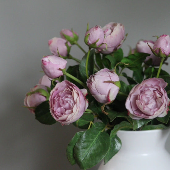 Video Showcasing Real Touch English Roses in Lavender Mauve