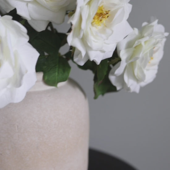 Open Roses White English Blooms in Vase