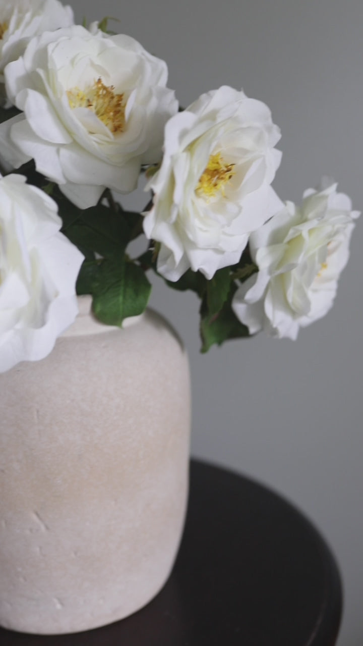Open Roses White English Blooms in Vase