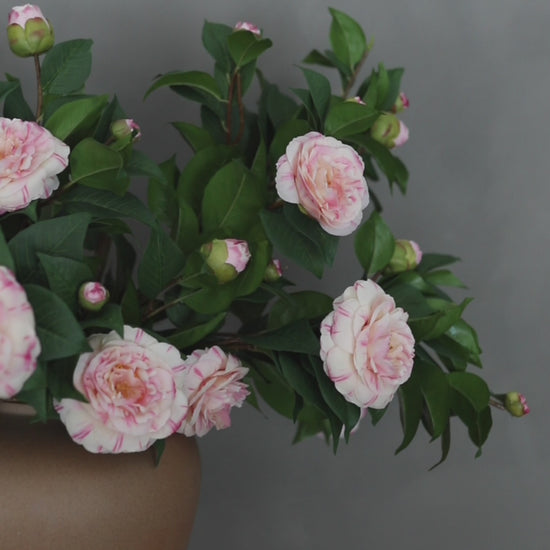 Video Clip of Pink Artificial Bushes Styled in Vase