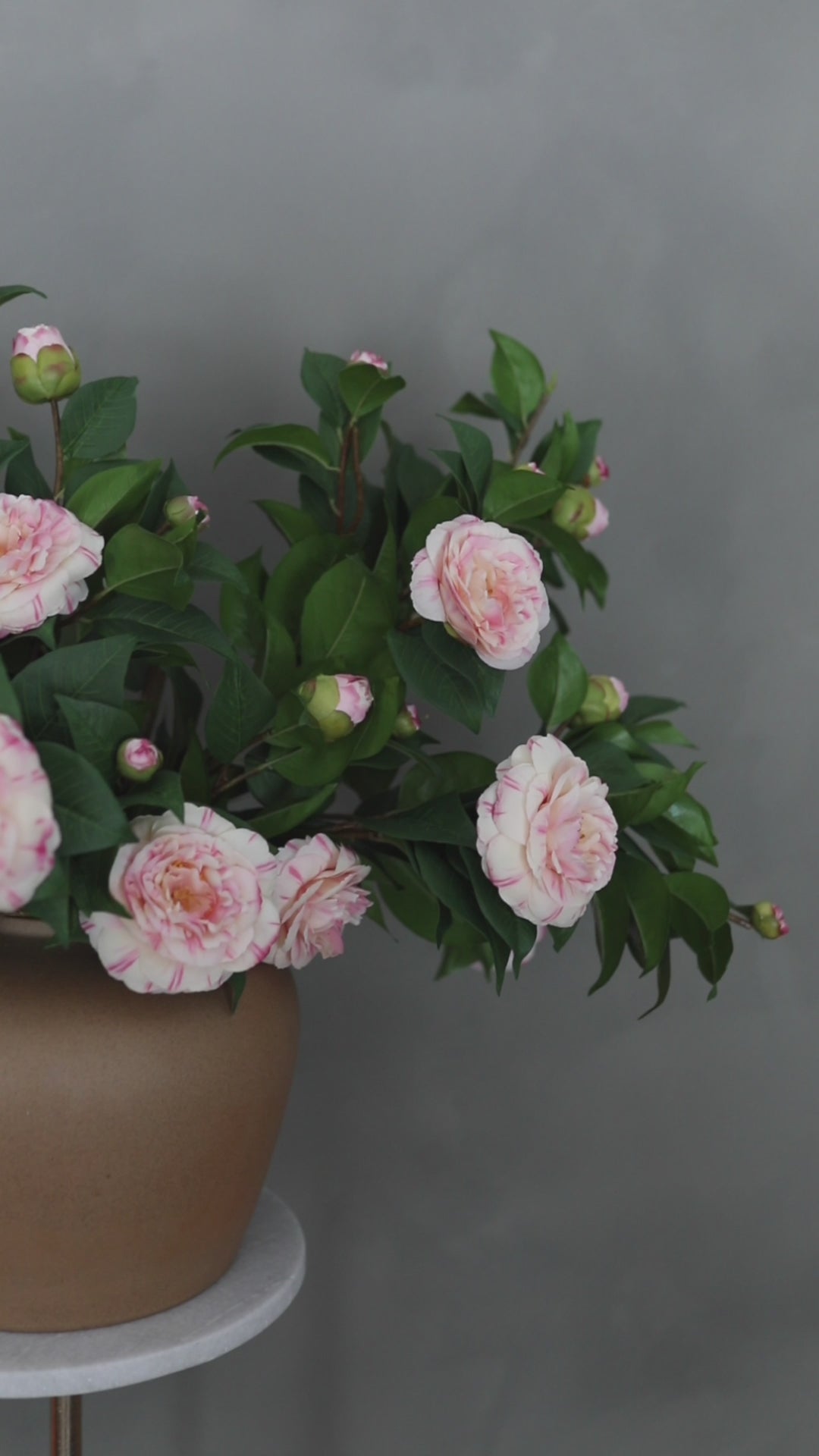 Video Clip of Pink Artificial Bushes Styled in Vase