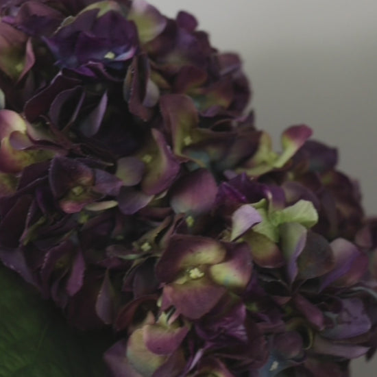 Real Touch Flowers Purple Hydrangeas Video