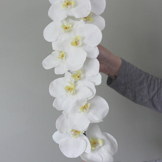 Video Showing How to Simply Fluff and Shape Artificial Orchids