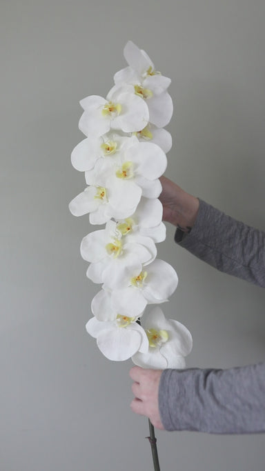 artificial plant orchid Faux Phalaenopsis Orchid | White | 34