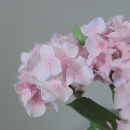 Pink Real Touch Small Hydrangeas in Vase Arrangement