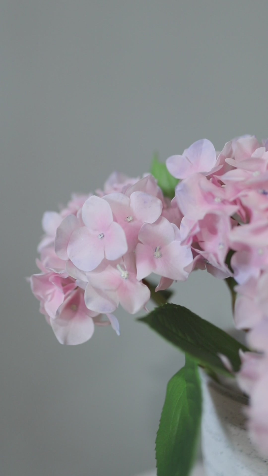 Pink Real Touch Small Hydrangeas in Vase Arrangement