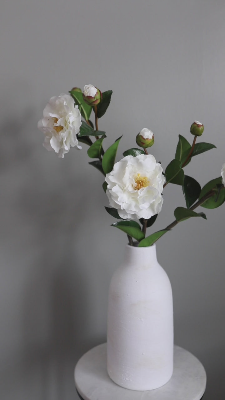 Short Video of White Real Touch Camellia Flowers