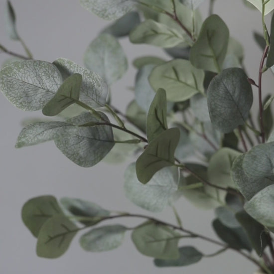 Video Details of Artificial Silver Dollar Eucalyptus