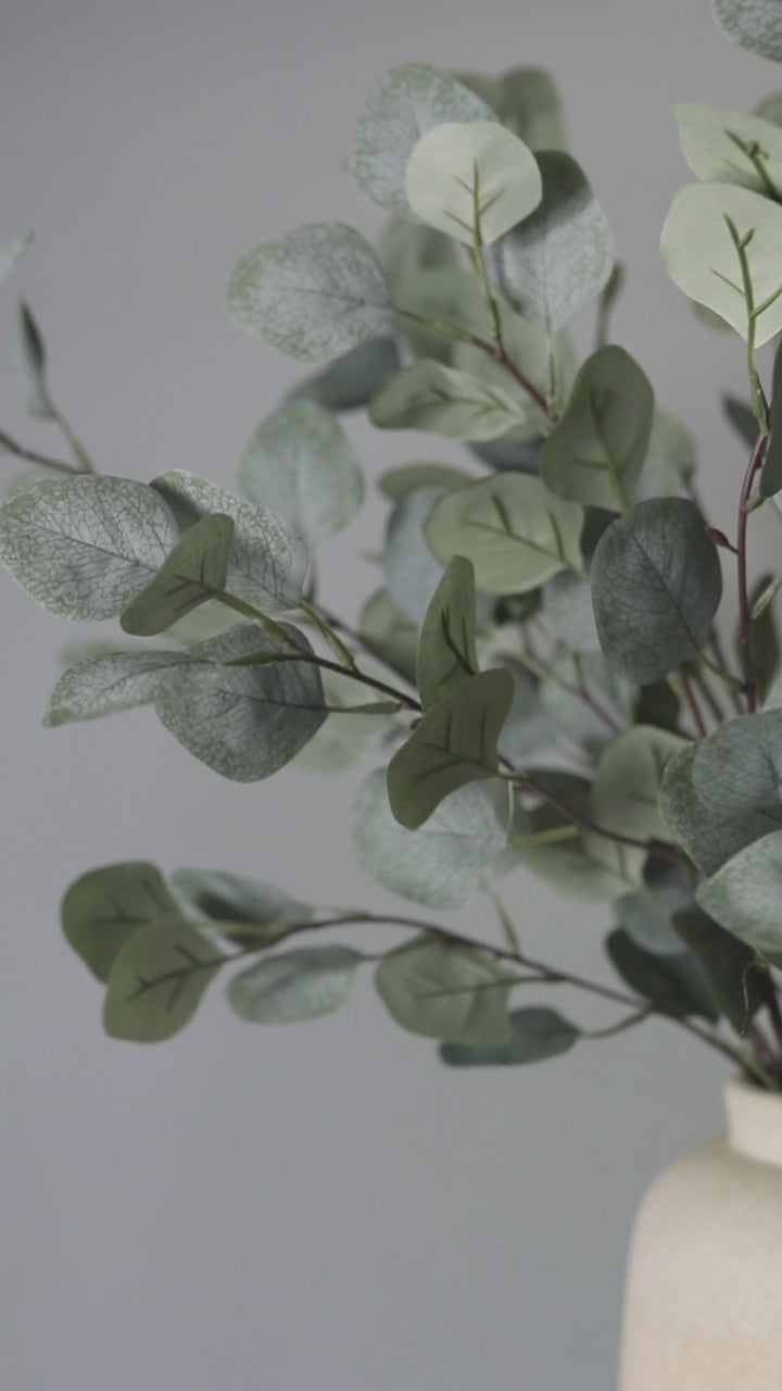 Video Details of Artificial Silver Dollar Eucalyptus