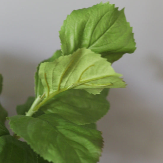 Video Showcasing Artificial Hydrangea Leaf Foliage