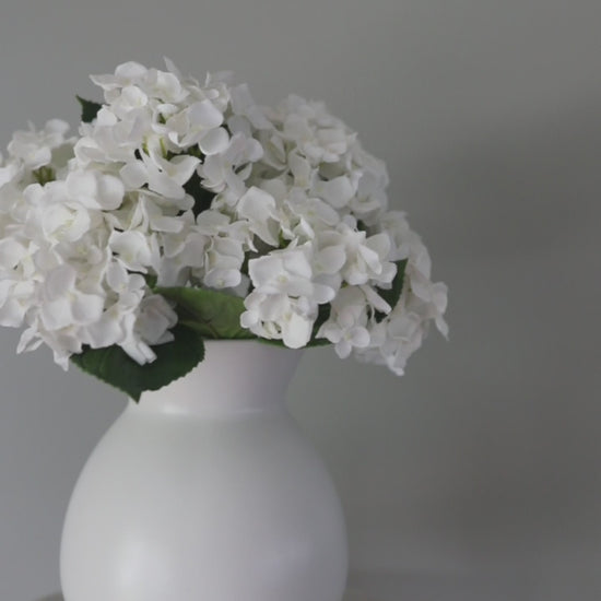 Video Showcasing White Silk Hydrangea Flowers