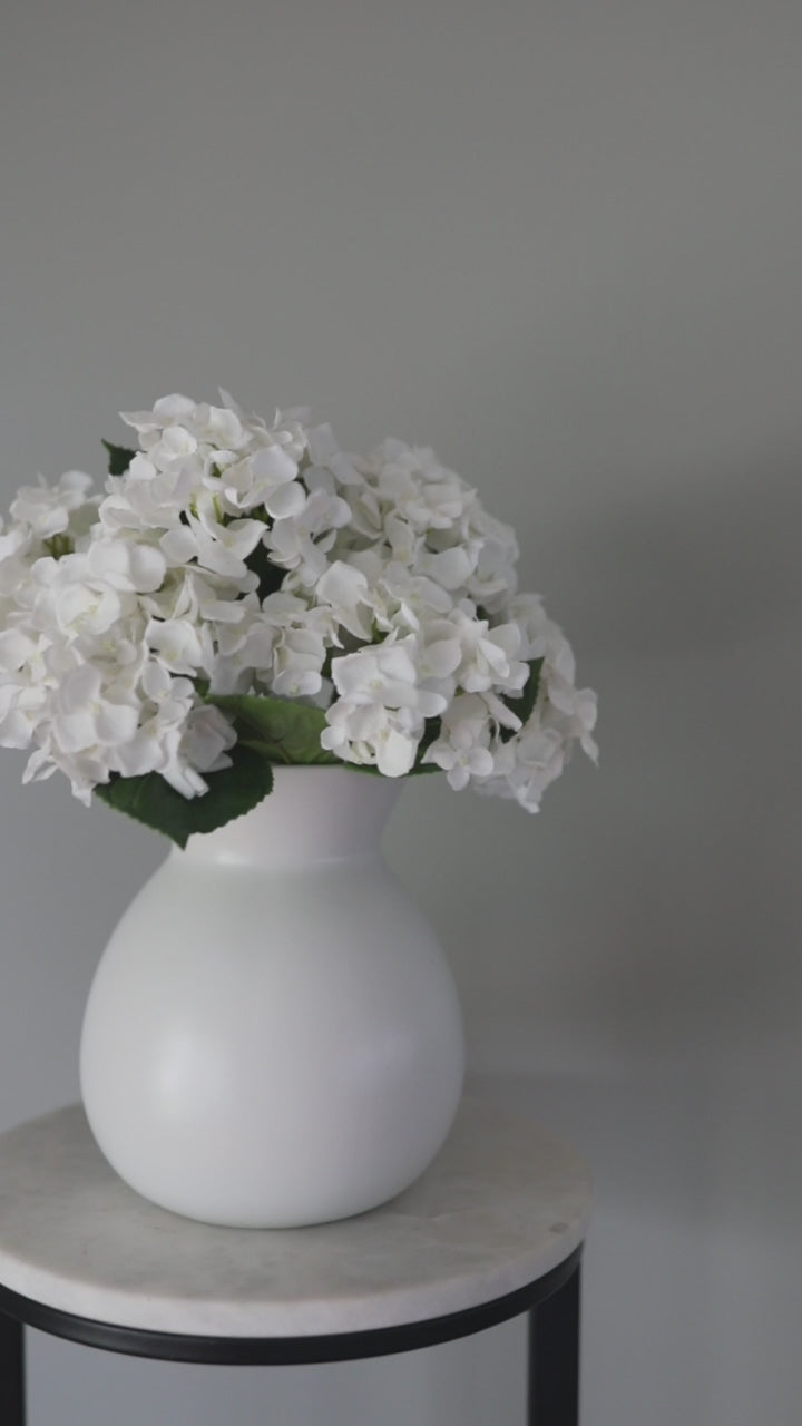 Video Showcasing White Silk Hydrangea Flowers