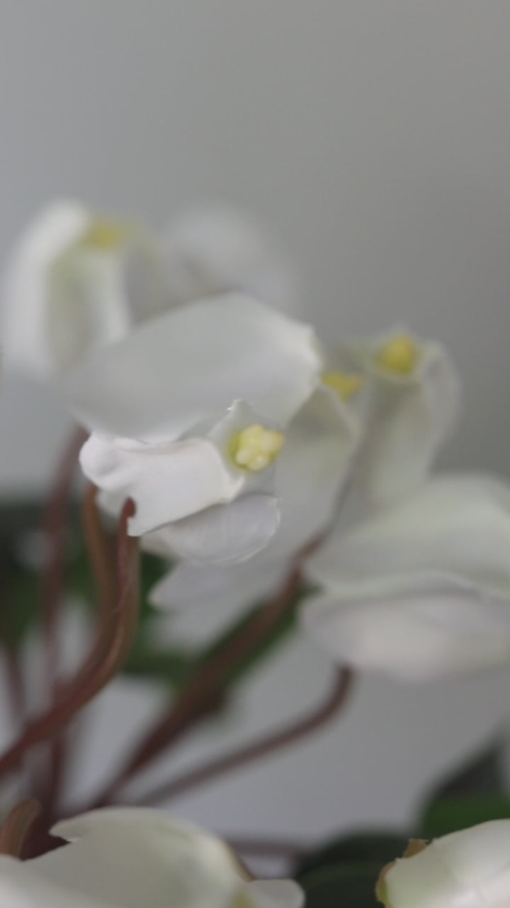 Artificial Flowers Cyclamen Bundle in White