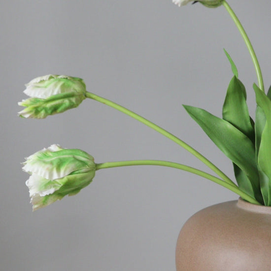 Video Showing Real Touch Parrot Tulips for Home Decor