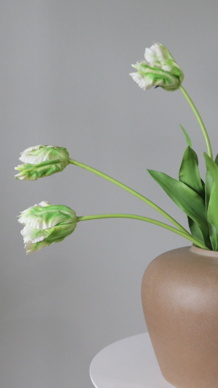 Video Showing Real Touch Parrot Tulips for Home Decor