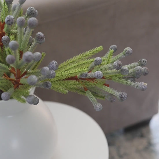 Clip Showing Faux Silver Brunia Berries in Vase Home Decor