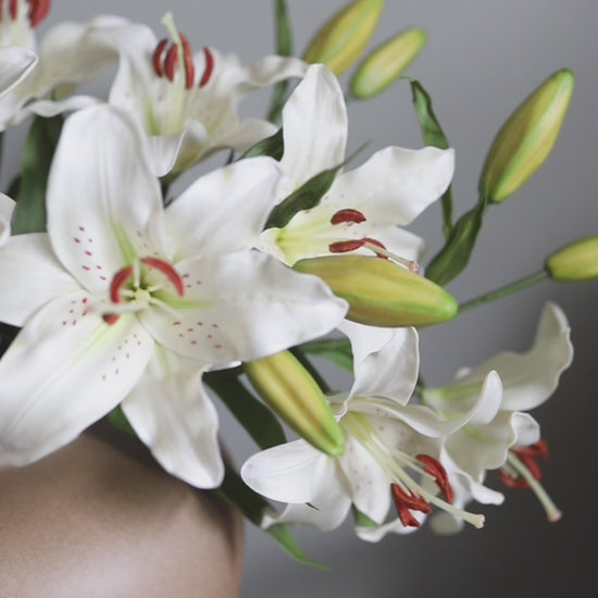 Video Clip of White Stargazer Fake Lilies in Vase
