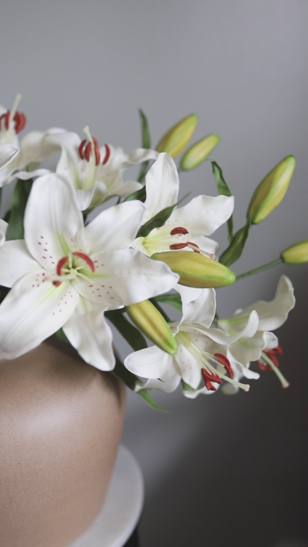 Video Clip of White Stargazer Fake Lilies in Vase