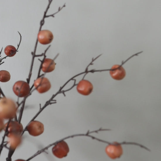 Faux Brown Fall Apple Branch