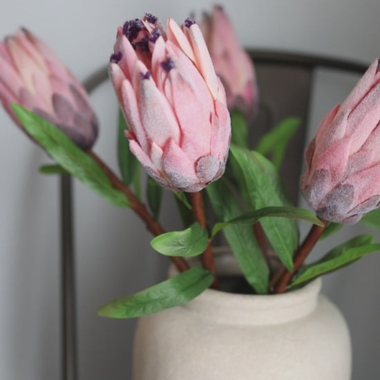 Video Clip of Flocked Artificial Pink Mink Protea Flowers