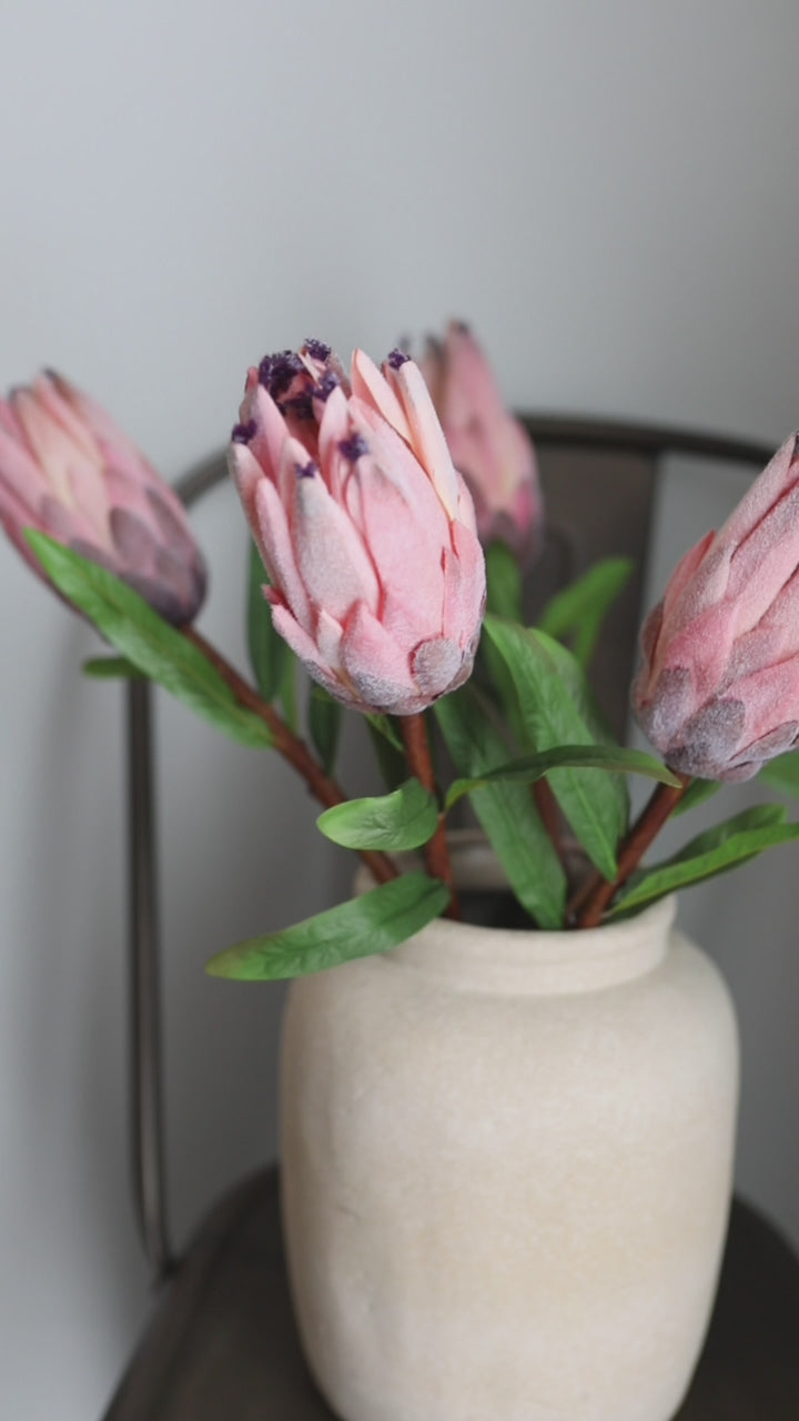 Video Clip of Flocked Artificial Pink Mink Protea Flowers