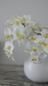 Video of Artificial White Orchids Styled in Vase