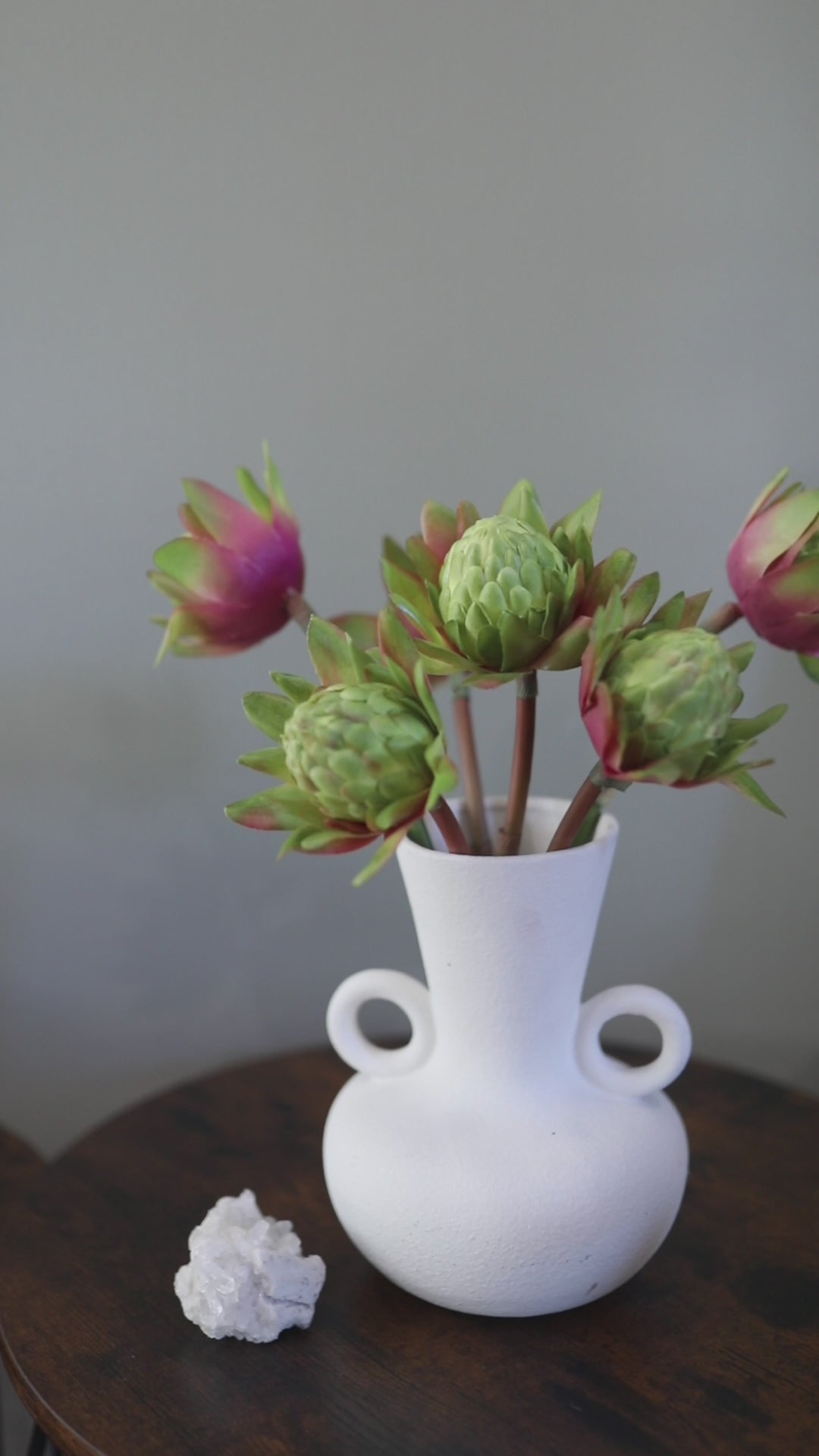 Video Showcasing Green Tropical Waratah Proteas