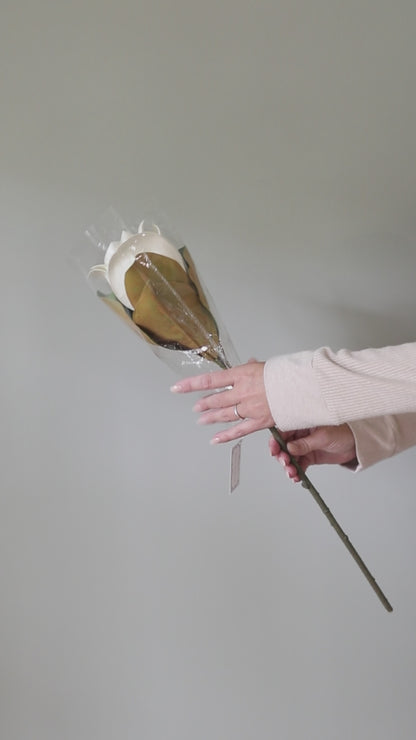 Video Showing How to Fluff an Artificial Magnolia Blossom and Leaves