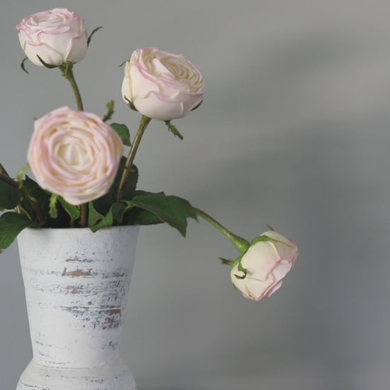 Cream Pink English Roses Real Touch