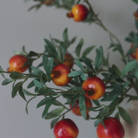 Pomegranate Fruit Branches Styled in Vase for Decorating