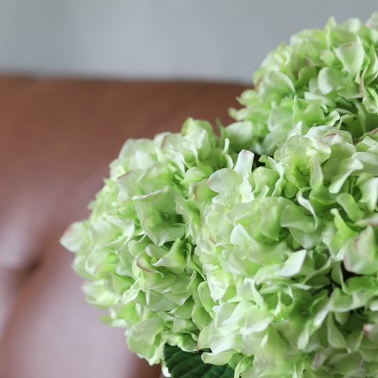 Video Showcasing Real Touch Faux Green Hydrangea Blossoms