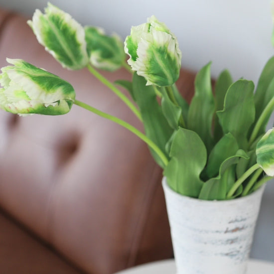 Real Touch Green Variegated Parrot Tulips Video