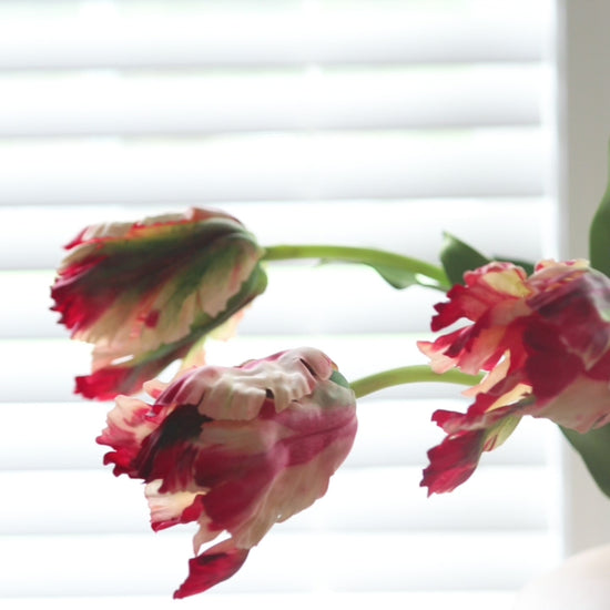 Product Video Showcasing Real Touch Red and Cream Tulips in Vase