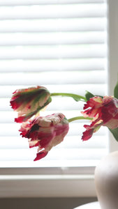 Product Video Showcasing Real Touch Red and Cream Tulips in Vase