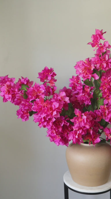 Fuchsia Bougainvillea Branch 44