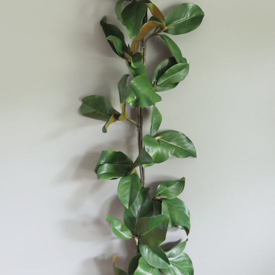 Video Clip of Artificial Magnolia Leaf Garland