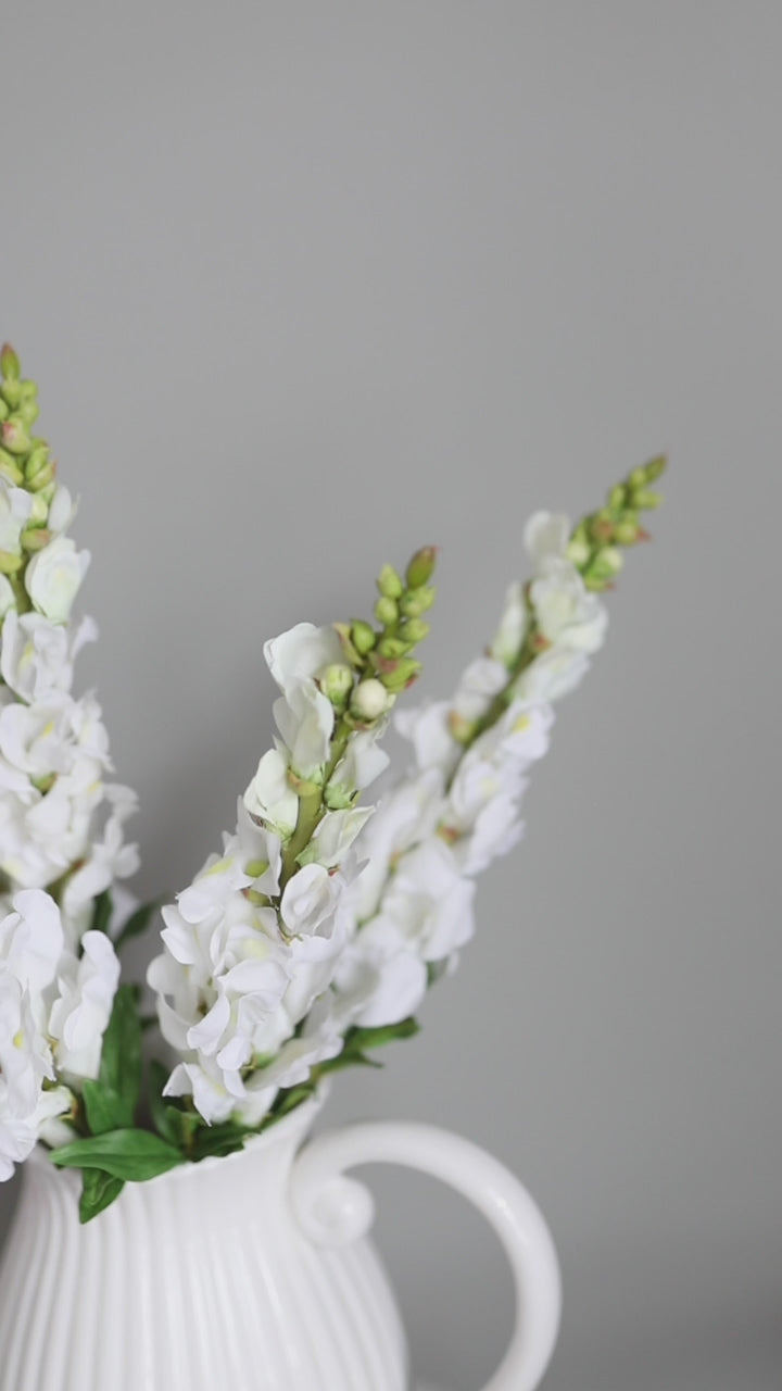 Video Clip of White Snapdragons Home Decor